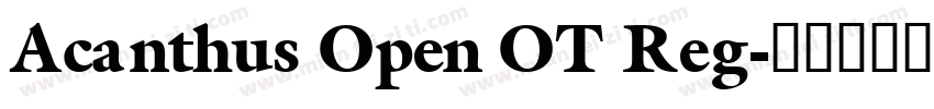 Acanthus Open OT Reg字体转换